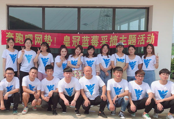 【奔跑吧網(wǎng)勢！】藍莓采摘主題團建活動